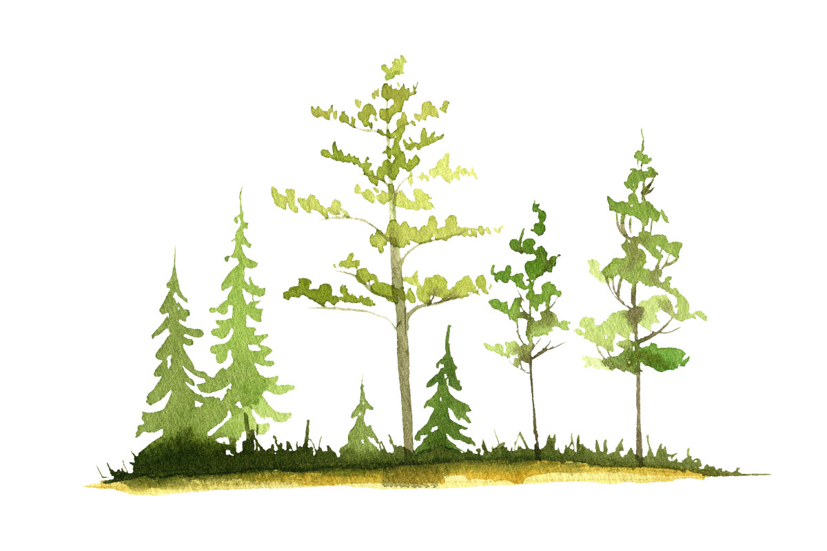 Ambiente e sicurezza - Freschi Srl Ambiente e sicurezza - Freschi Srl